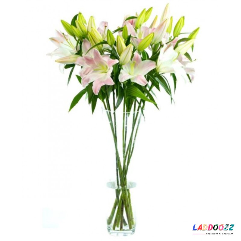 Pink Oriental Lilies for Home or Office